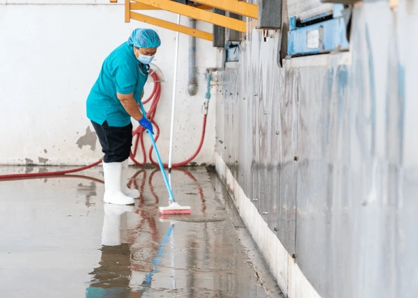 codifyformatter (51)