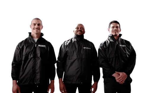 codifyformatter__5_-removebg-preview (1)